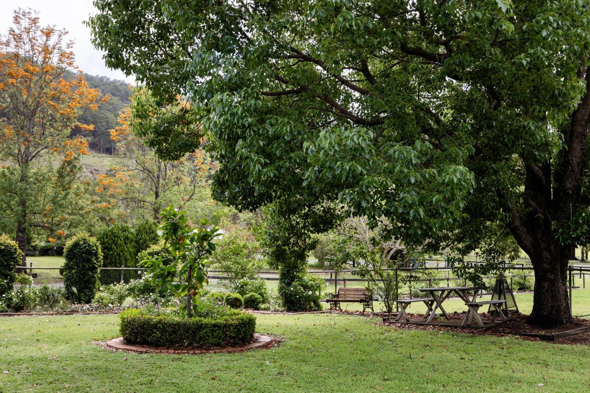 Cottage On Lamington Canungra Extérieur photo